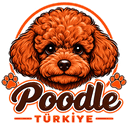 Poodle Türkiye